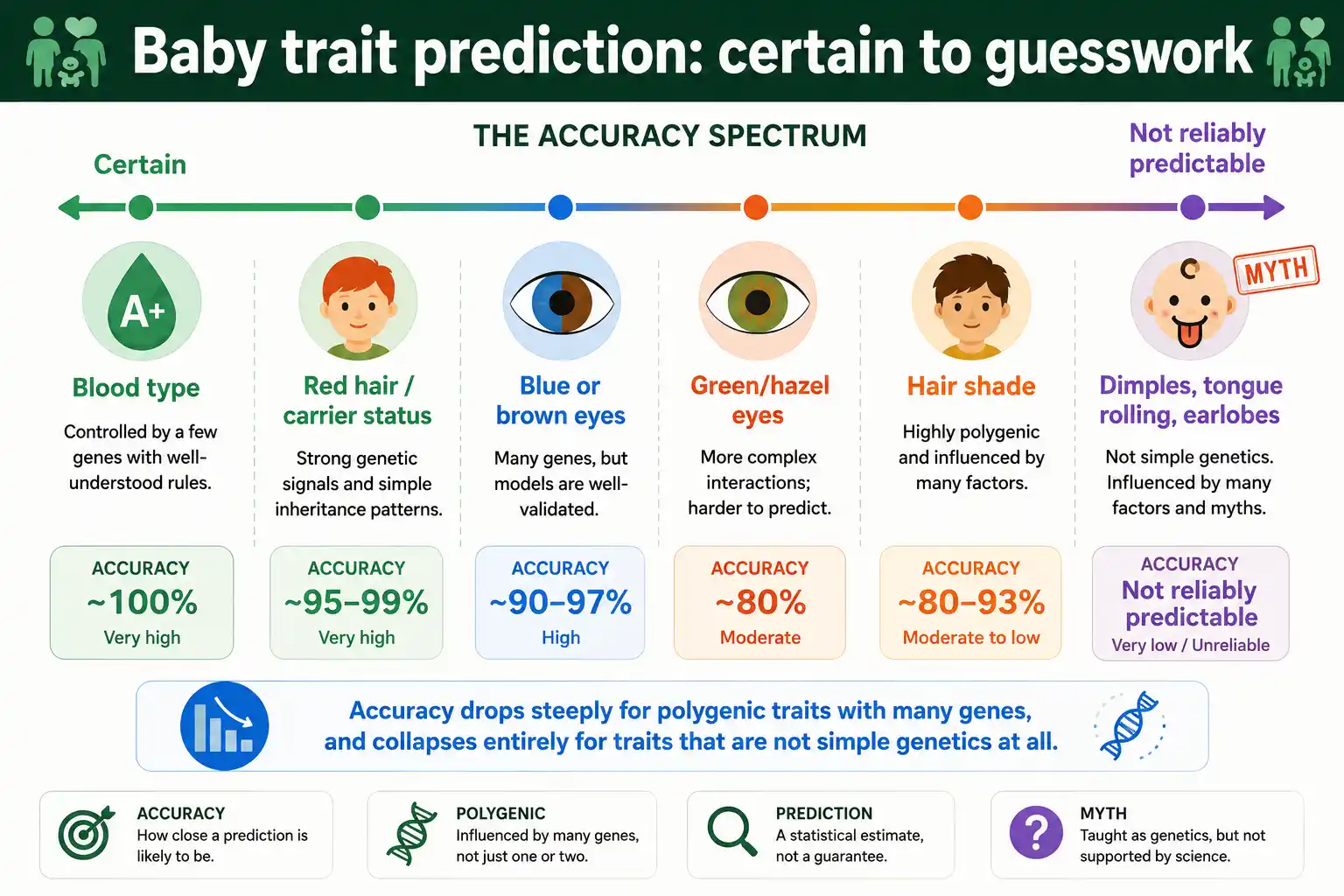 Accuracy spectrum from certain to guesswork across baby traits